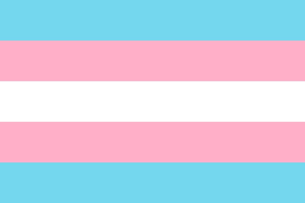 TransFemme SA Newbie Night! | Bfriend